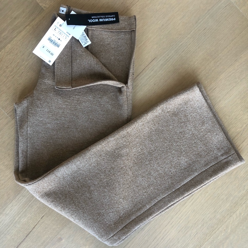 New Zara premium wool capsule collection pants, size L w/ hidden side inseam zip